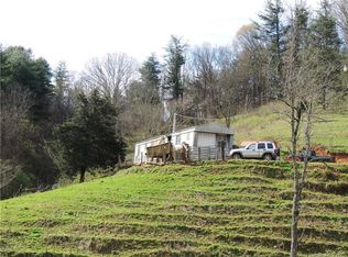 127 Shadow Hollow Rd, Marshall, NC 28753