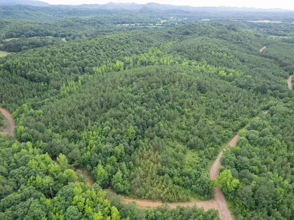 (undisclosed Address), Mena, AR 71953