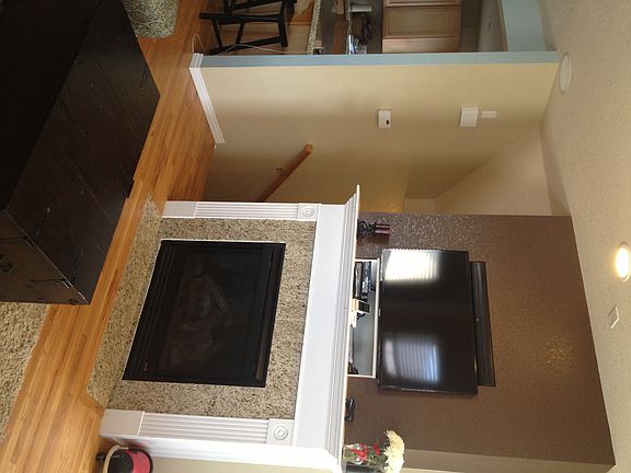 Living Room Fireplace 