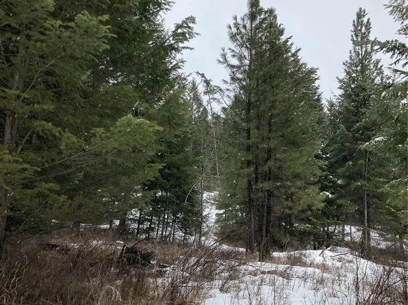 65 B Spring meadow Road, Oroville, WA 98844