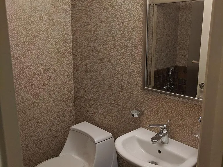 Downstairs guest Bathroom