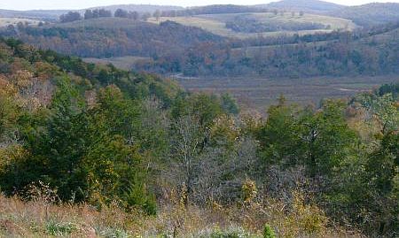 5th image of 189A County Road 864b