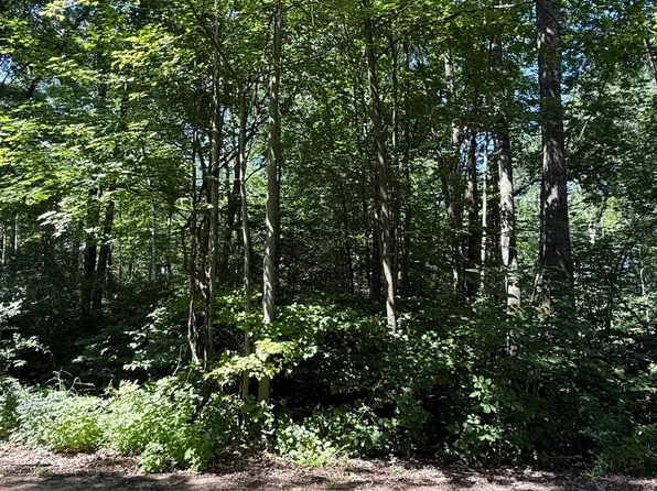 4477 E Forest Rd, Harrison, MI 48625