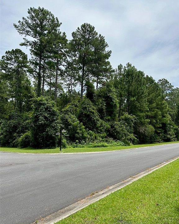 V/l 173a Misty Hbr, Woodbine, GA 31569 MLS 1641051 Zillow