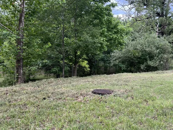 000 Vin Villa, Forsyth, MO 65653