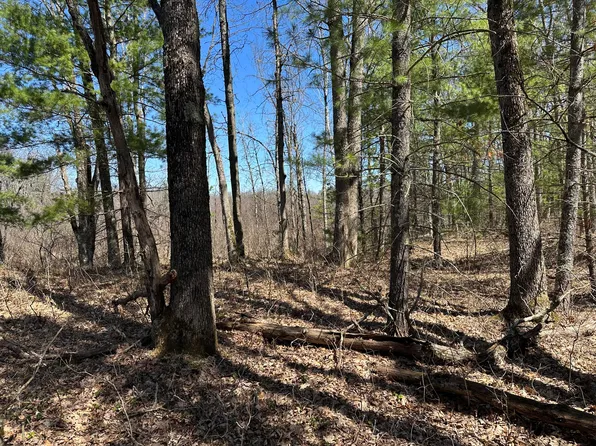 0 S Dillard St, Baldwin, MI 49304