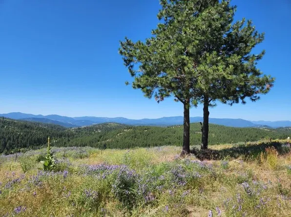 H 839th Hwy, Colville, WA 99114