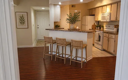 12500 Crest Springs Ln #1023 Photo 1