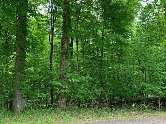 3rd image of Lot 76 Courtland Drive