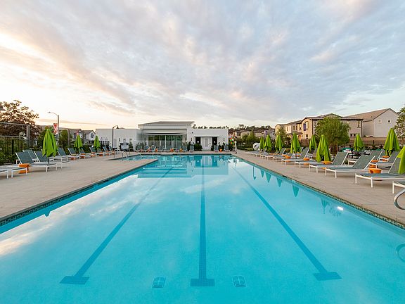 Saltwater Lap-Relax Pool