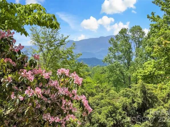 389 Orchard Rd, Bakersville, NC 28705