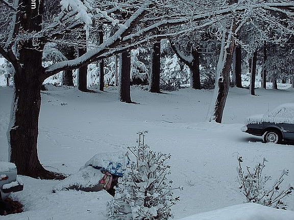 DURING THE SNOW OF WINTER