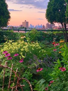 587 Washington Ave APT 4, Brooklyn, NY, 11238