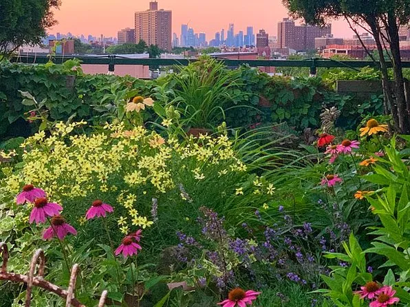 587 Washington Ave APT 4, Brooklyn, NY 11238