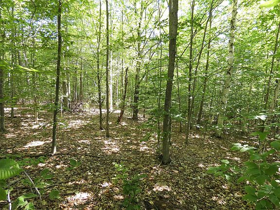 5th image of 16 Woodland Ln