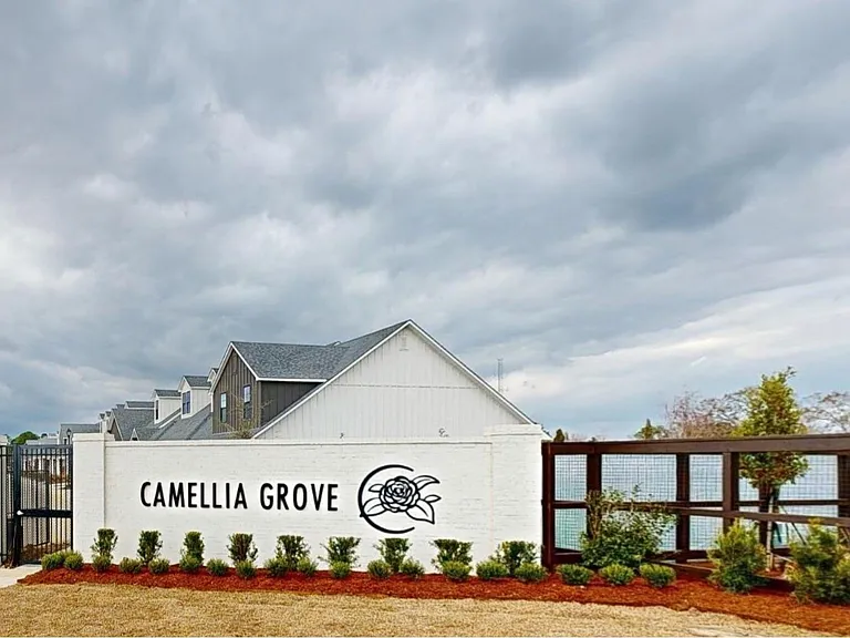 Camellia Grove Townhomes — Photo 4