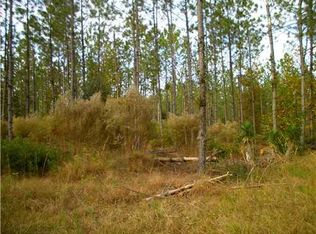 0 Little McCall Rd, Springfield, GA 31329