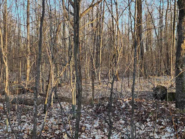 E Johnson Rd, Lake City, MI 49651