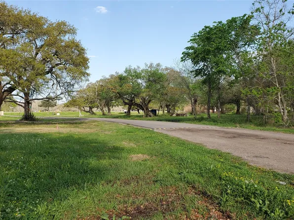 108 Country Oaks St, Brazoria, TX 77422