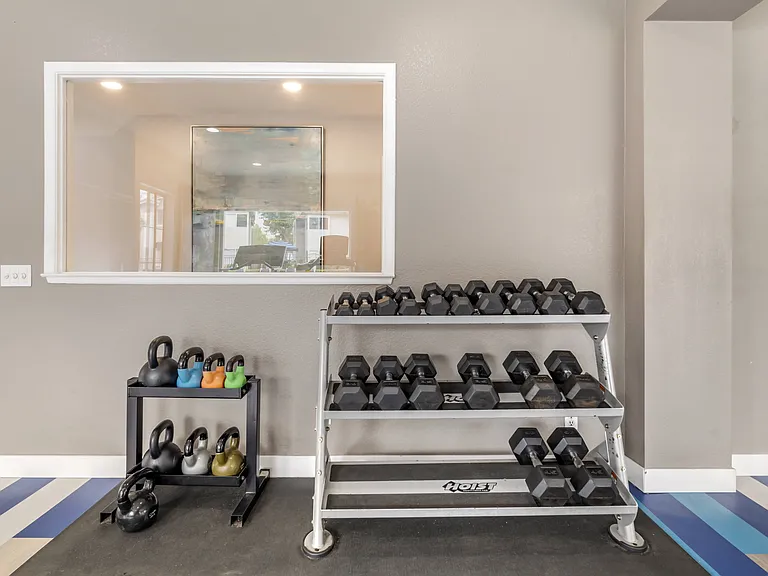 Our fitness center features a dedicated free-weight area with dumbbells, benches, and barbellsperfect for strength training, muscle toning, and full-body workouts in a spacious, modern setting.