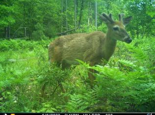 Sam Ellsworth Rdg, Roscommon, MI 48653