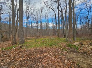 34 Starlight Dr, Morris Twp., NJ 07960