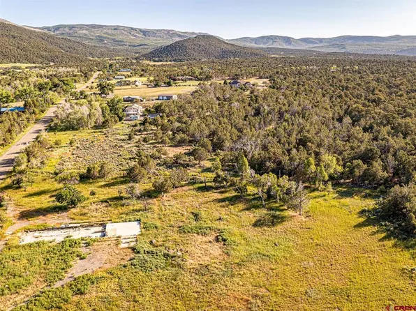 19584 Ward Creek Road, Cedaredge, CO 81413