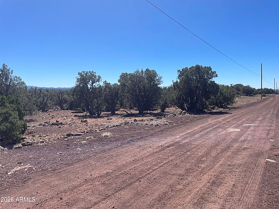 4th image of 0 Show Low Pines Unit 8 Lot 346 Road #346