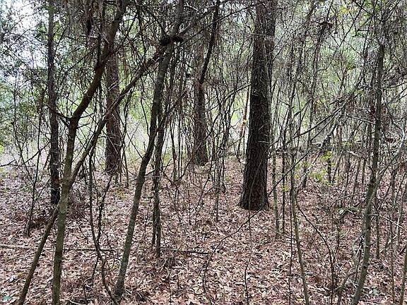 5th image of 0 Rosin Ridge Rd