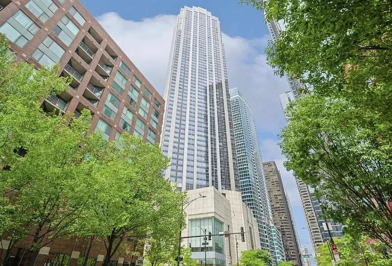 512 N McClurg Ct #1303 — Photo 16
