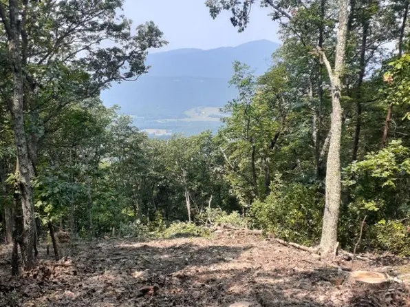 353 Nathaniel Mountain Rd, Moorefield, WV 26836