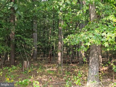 4169 Mountain Rd, Haymarket, VA, 20169