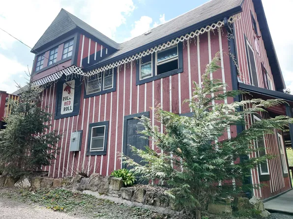 151 Patricia Ave, Elkins, WV 26241