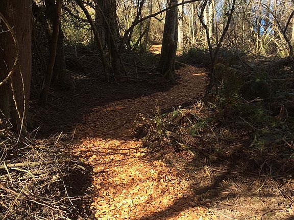 Bark walking path