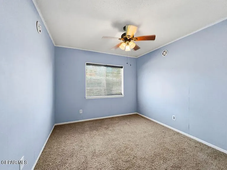 921 Olive Ave — Photo 14