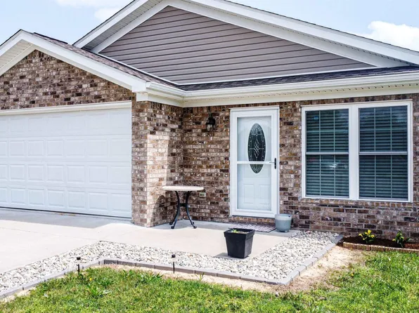 133 Braxton Bnd, Ledbetter, KY 42058