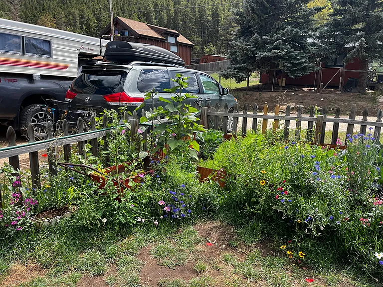 Lovely Fenced yard and two off street parking spaces.