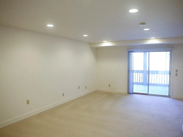 Basement Den