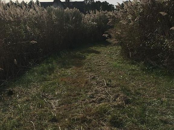 2nd image of 30224 Marumsco Rd