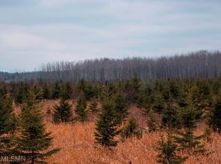 42 Tbd County Rd, Effie, MN 56639