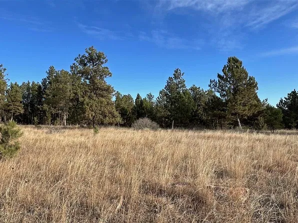 LOT 8 Argyle Rd, Hot Springs, SD 57747
