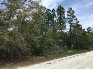 Night Heron Rd, Weeki wachee, FL 34614