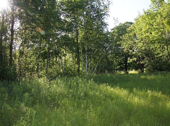 5th image of 0 Bogtown Ln