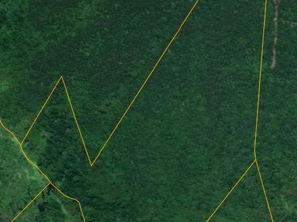 0 E Darden Road, Faison, NC 28341