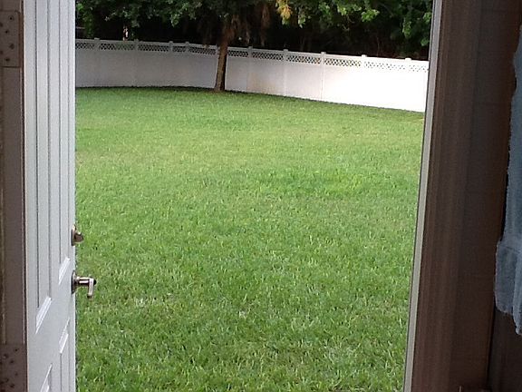 Backyard View from Pool Bath