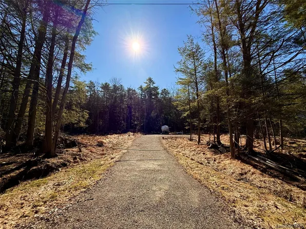 Park Lane, Yulan, NY 12792