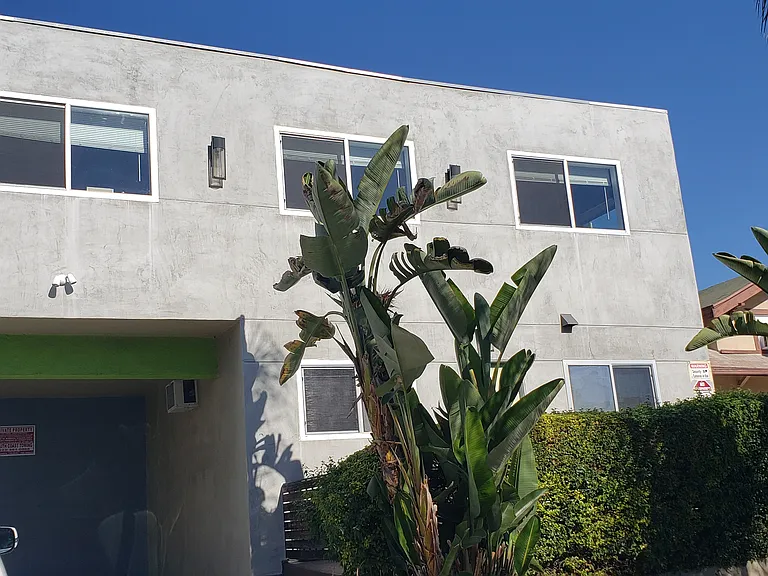 4847 Rosewood Ave #2 — Photo 20