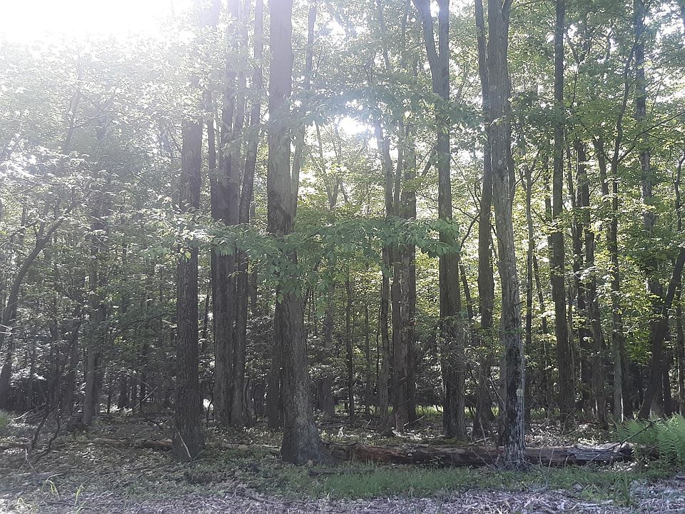 2nd image of Lake Dr