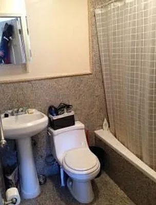 Rented by Blue Egg Realty Corp | media 17