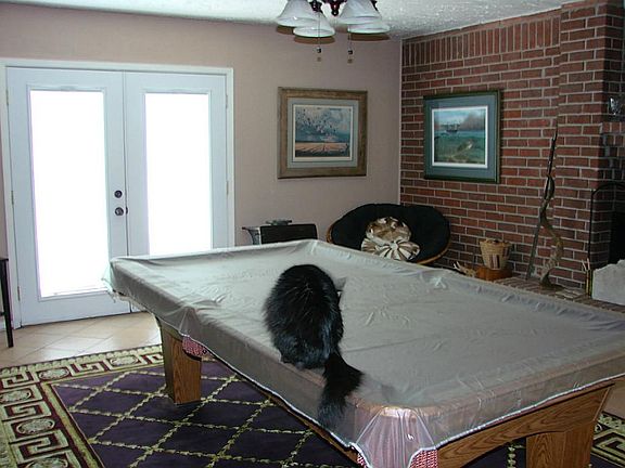  Den complete with a fireplace and french doors leading to backyard!